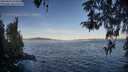 ./images/koeye/fitz-hugh/20260424/fitz-hugh20260424_073501M.jpg