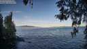 ./images/koeye/fitz-hugh/20260424/fitz-hugh20260424_074001M.jpg