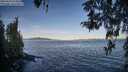 ./images/koeye/fitz-hugh/20260424/fitz-hugh20260424_074501M.jpg