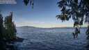 ./images/koeye/fitz-hugh/20260424/fitz-hugh20260424_075001M.jpg