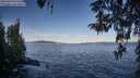 ./images/koeye/fitz-hugh/20260424/fitz-hugh20260424_075502M.jpg