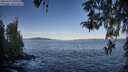 ./images/koeye/fitz-hugh/20260424/fitz-hugh20260424_080502M.jpg