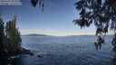 ./images/koeye/fitz-hugh/20260424/fitz-hugh20260424_082501M.jpg