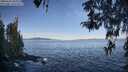 ./images/koeye/fitz-hugh/20260424/fitz-hugh20260424_083001M.jpg