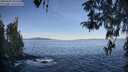 ./images/koeye/fitz-hugh/20260424/fitz-hugh20260424_083501M.jpg