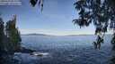 ./images/koeye/fitz-hugh/20260424/fitz-hugh20260424_084001M.jpg