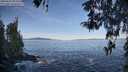 ./images/koeye/fitz-hugh/20260424/fitz-hugh20260424_084501M.jpg