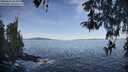 ./images/koeye/fitz-hugh/20260424/fitz-hugh20260424_085001M.jpg