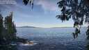 ./images/koeye/fitz-hugh/20260424/fitz-hugh20260424_085501M.jpg