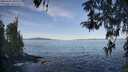 ./images/koeye/fitz-hugh/20260424/fitz-hugh20260424_090002M.jpg