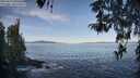 ./images/koeye/fitz-hugh/20260424/fitz-hugh20260424_090501M.jpg