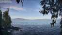 ./images/koeye/fitz-hugh/20260424/fitz-hugh20260424_091001M.jpg