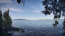 ./images/koeye/fitz-hugh/20260424/fitz-hugh20260424_091501M.jpg