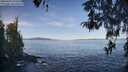 ./images/koeye/fitz-hugh/20260424/fitz-hugh20260424_092502M.jpg