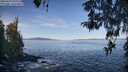 ./images/koeye/fitz-hugh/20260424/fitz-hugh20260424_093002M.jpg