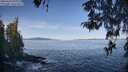 ./images/koeye/fitz-hugh/20260424/fitz-hugh20260424_094001M.jpg