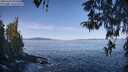 ./images/koeye/fitz-hugh/20260424/fitz-hugh20260424_094501M.jpg