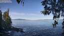 ./images/koeye/fitz-hugh/20260424/fitz-hugh20260424_095001M.jpg