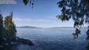 ./images/koeye/fitz-hugh/20260424/fitz-hugh20260424_095501M.jpg