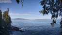 ./images/koeye/fitz-hugh/20260424/fitz-hugh20260424_100001M.jpg