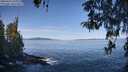 ./images/koeye/fitz-hugh/20260424/fitz-hugh20260424_101001M.jpg