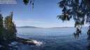 ./images/koeye/fitz-hugh/20260424/fitz-hugh20260424_101502M.jpg