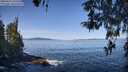 ./images/koeye/fitz-hugh/20260424/fitz-hugh20260424_102501M.jpg
