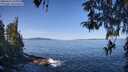 ./images/koeye/fitz-hugh/20260424/fitz-hugh20260424_103001M.jpg