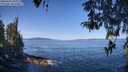 ./images/koeye/fitz-hugh/20260424/fitz-hugh20260424_104002M.jpg