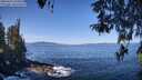 ./images/koeye/fitz-hugh/20260424/fitz-hugh20260424_104502M.jpg
