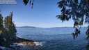./images/koeye/fitz-hugh/20260424/fitz-hugh20260424_105501M.jpg
