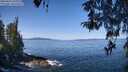 ./images/koeye/fitz-hugh/20260424/fitz-hugh20260424_110001M.jpg