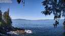 ./images/koeye/fitz-hugh/20260424/fitz-hugh20260424_110501M.jpg
