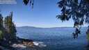 ./images/koeye/fitz-hugh/20260424/fitz-hugh20260424_111002M.jpg