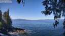 ./images/koeye/fitz-hugh/20260424/fitz-hugh20260424_111501M.jpg