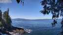 ./images/koeye/fitz-hugh/20260424/fitz-hugh20260424_113001M.jpg