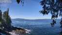 ./images/koeye/fitz-hugh/20260424/fitz-hugh20260424_113501M.jpg