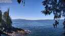 ./images/koeye/fitz-hugh/20260424/fitz-hugh20260424_114501M.jpg