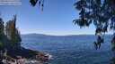 ./images/koeye/fitz-hugh/20260424/fitz-hugh20260424_121001M.jpg