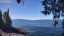 ./images/koeye/fitz-hugh/20260424/fitz-hugh20260424_124001M.jpg