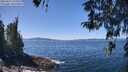 ./images/koeye/fitz-hugh/20260424/fitz-hugh20260424_125501M.jpg