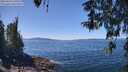 ./images/koeye/fitz-hugh/20260424/fitz-hugh20260424_130501M.jpg