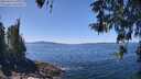 ./images/koeye/fitz-hugh/20260424/fitz-hugh20260424_131001M.jpg