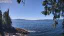 ./images/koeye/fitz-hugh/20260424/fitz-hugh20260424_133501M.jpg