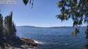 ./images/koeye/fitz-hugh/20260424/fitz-hugh20260424_134501M.jpg