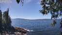 ./images/koeye/fitz-hugh/20260424/fitz-hugh20260424_135002M.jpg