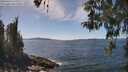./images/koeye/fitz-hugh/20260424/fitz-hugh20260424_140001M.jpg