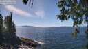 ./images/koeye/fitz-hugh/20260424/fitz-hugh20260424_141001M.jpg