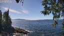 ./images/koeye/fitz-hugh/20260424/fitz-hugh20260424_141502M.jpg