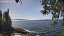 ./images/koeye/fitz-hugh/20260424/fitz-hugh20260424_143501M.jpg
